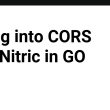 diving-into-cors-with-nitric-in-go