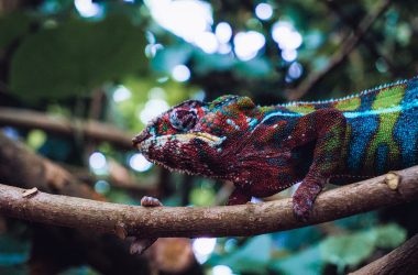 agile-product-management:-top-5-best-practices-for-2023