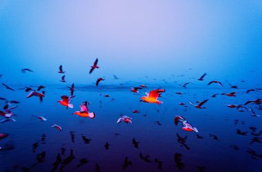 the-diffing-dilemma!-all-about-diffing-with-lazylists!