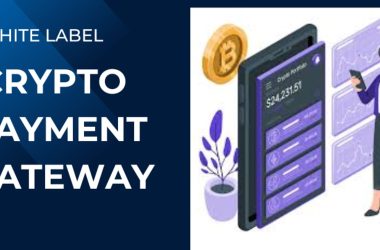 white-label-crypto-payment-gateway-platform-–-revolutionize-your-business