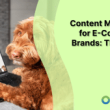 content-marketing-for-e-commerce-brands:-the-a-to-z-guide