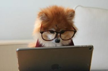 build-your-first-django-app:-beginner’s-guide