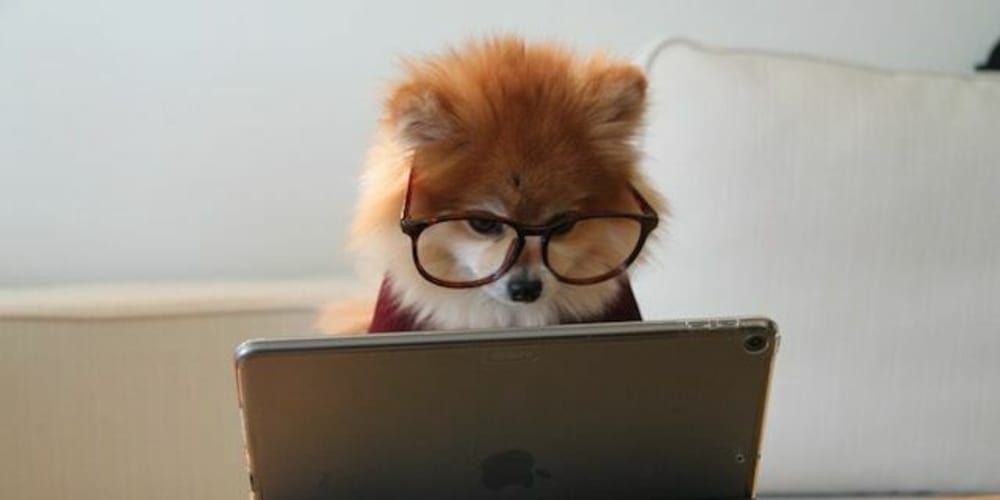 build-your-first-django-app:-beginner’s-guide