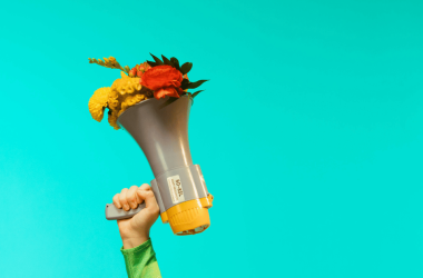 how-to-build-a-high-impact-voice-of-the-customer-strategy