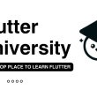 flutter-university:-best-flutter-handbook-out-there
