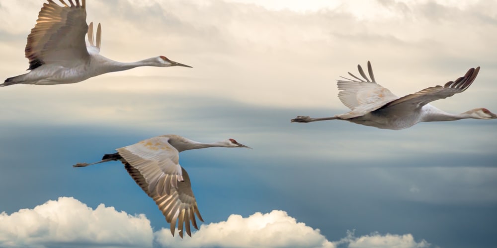 migration-from-classic-hosting-to-serverless