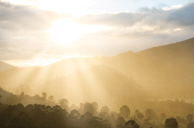 unlocking-leadership-mastery:-the-pmm’s-guide-to-radiating-executive-presence