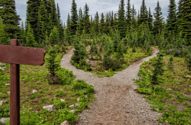 what-to-expect-from-a-career-in-product-marketing