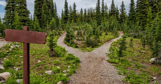 what-to-expect-from-a-career-in-product-marketing