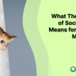 what-the-decline-of-social-media-means-for-content-marketing