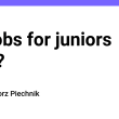 no-jobs-for-juniors-in-it?-