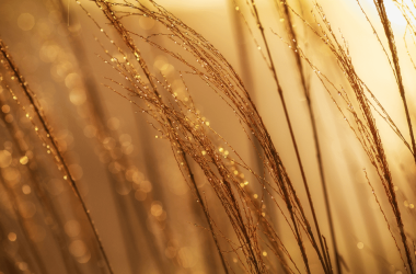 your-five-step-playbook-for-successfully-raising-prices