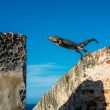 personal-stories:-transitioning-to-pmm-from-sales,-customer-success,-and-agency