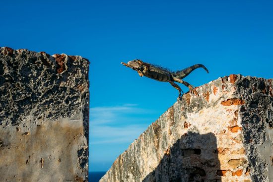 personal-stories:-transitioning-to-pmm-from-sales,-customer-success,-and-agency