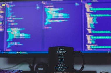 should-you-learn-web-development-in-2024?