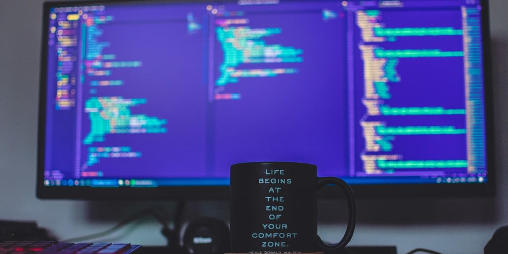 should-you-learn-web-development-in-2024?