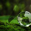 when-sustainability-&-quality-meet