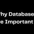 why-you-should-use-a-database