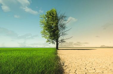 climate-change-and-management-standards