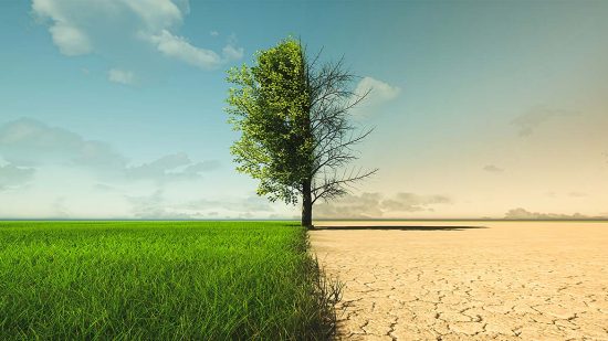 climate-change-and-management-standards