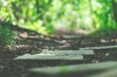 4-steps-for-building-a-strategic-competitive-intelligence-program