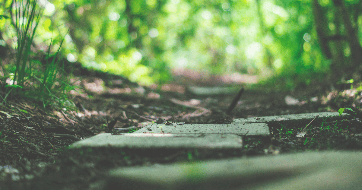 4-steps-for-building-a-strategic-competitive-intelligence-program