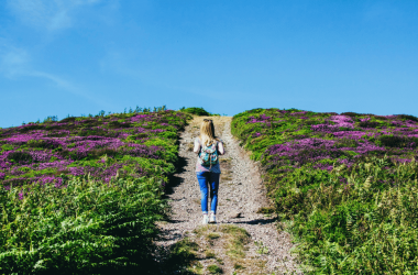 drive-adoption-and-expansion-with-a-b2b-post-sale-journey