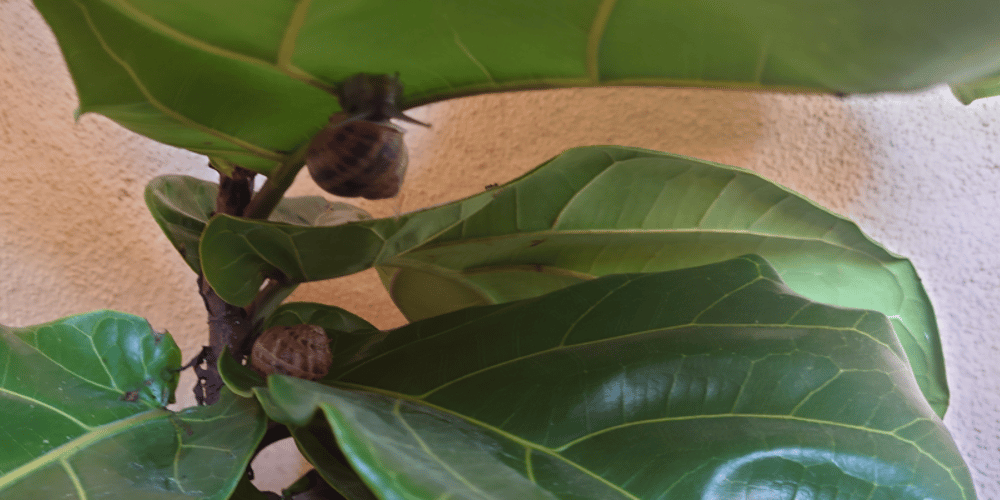 [10/52]-spicy-math!!!