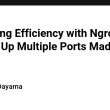 unlocking-efficiency-with-ngrok:-setting-up-multiple-ports-made-simple!