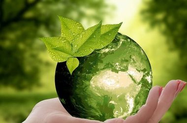 earth-day-celebration-“css-only-–-no-javascript