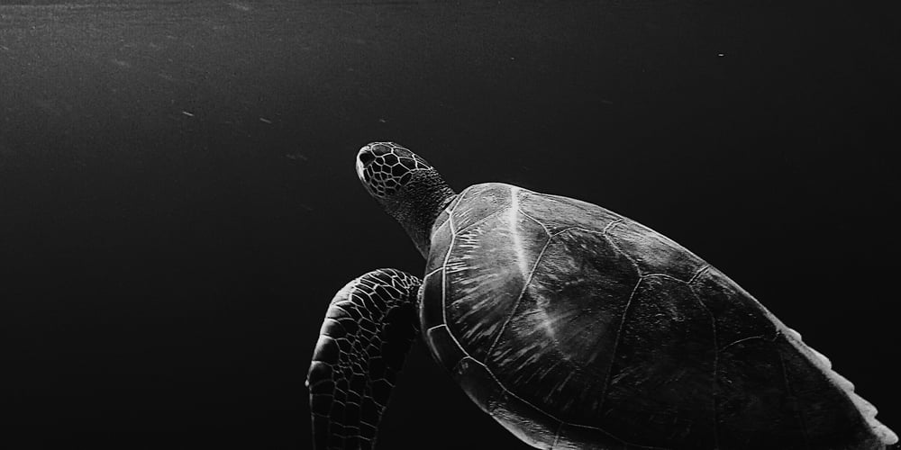 analytics-slows-your-sales-down,-let’s-fix-it!