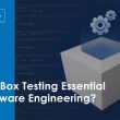 why-is-white-box-testing-essential-in-software-engineering?