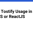 react-tostify-usage-in-nextjs-or-reactjs