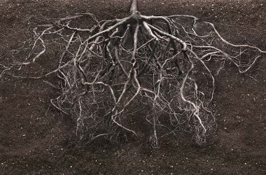 digging-deeper-with-root-causes
