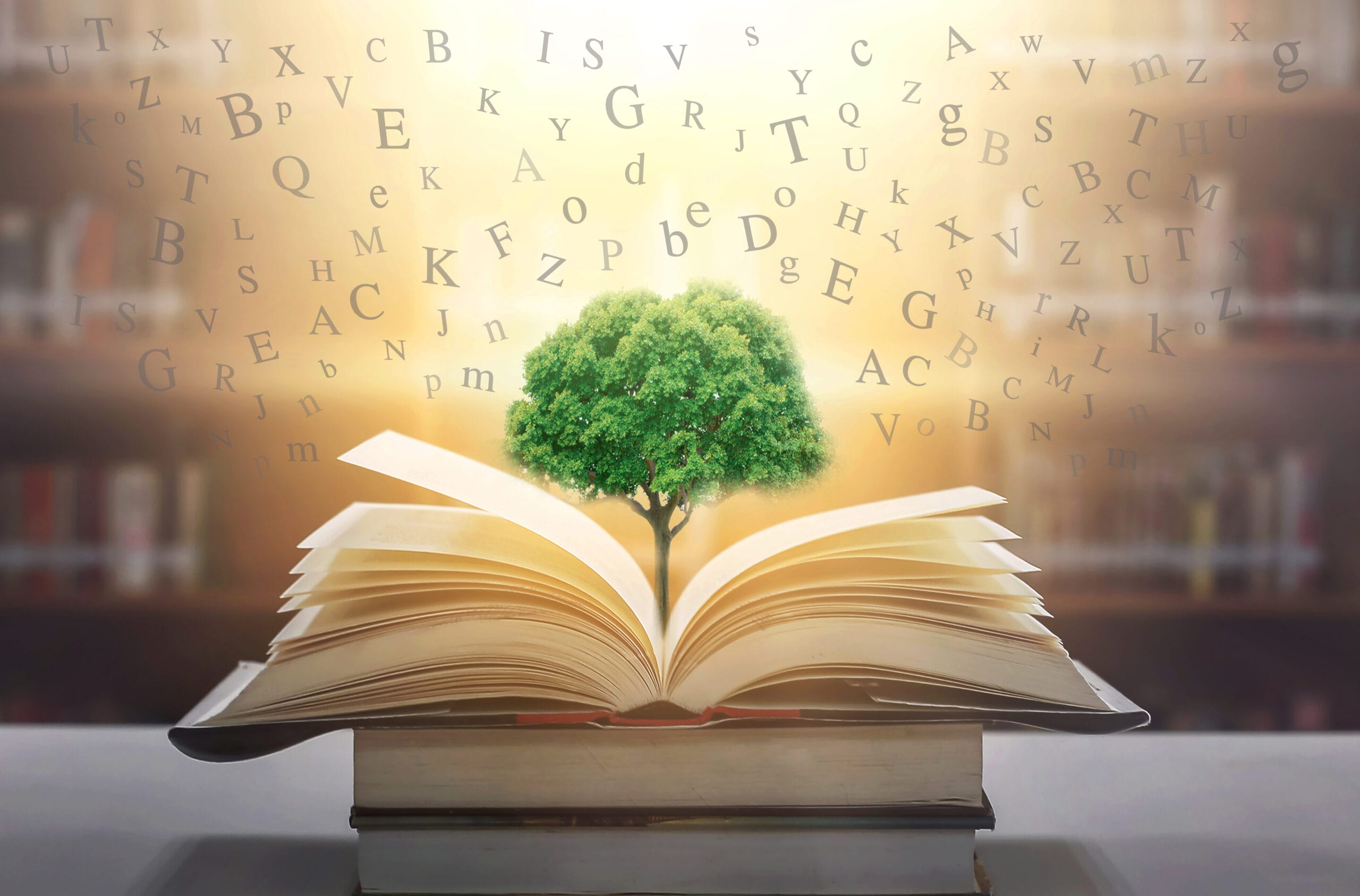 the-unlikely-product-management-wisdom-of-helen-dewitt’s-“lightning-rods”