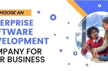 why-choose-an-enterprise-software-development-company-for-your-business