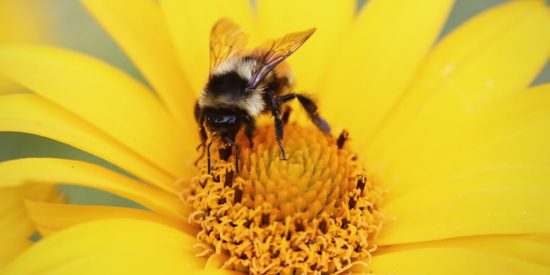 run-your-program-in-the-kernel-space-with-ebpf