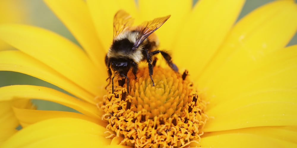 run-your-program-in-the-kernel-space-with-ebpf