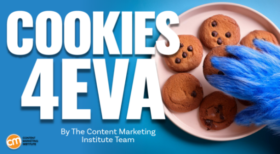 google-drops-out-of-the-anti-cookie-campaign.-what’s-next?