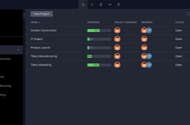how-to-make-a-program-management-plan-(free-templates-included)