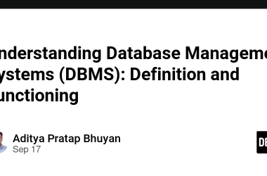 understanding-database-management-systems-(dbms):-definition-and-functioning
