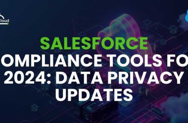 salesforce-compliance-tools-for-2024:-data-privacy-updates