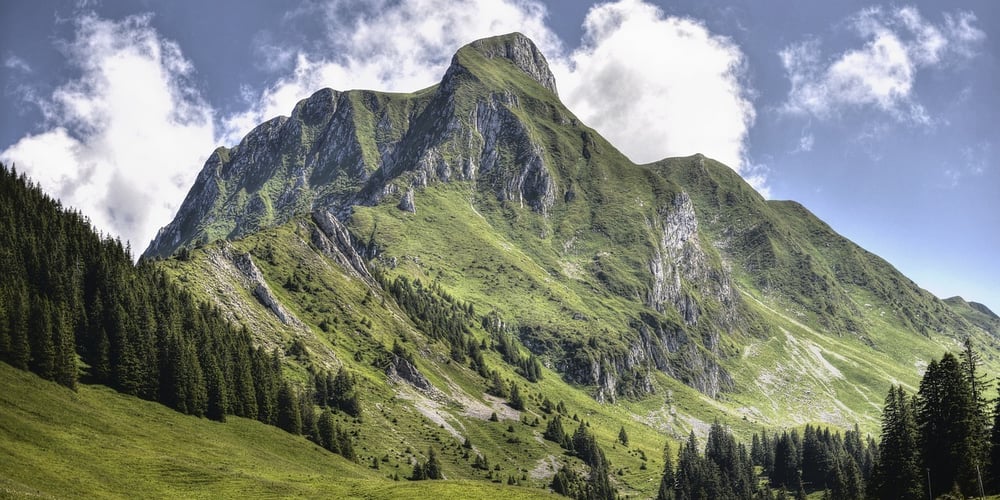 augmenting-the-client-with-alpine.js