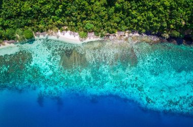 we-need-visionary-leadership-to-mitigate-climate-change