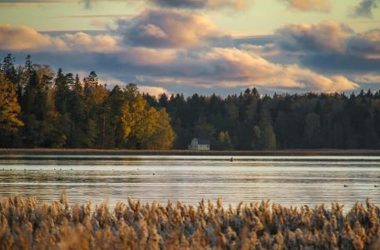 hi-everyone!-please-take-a-look-at-this-blog-post!-hope-you-will-fins-it-useful!!