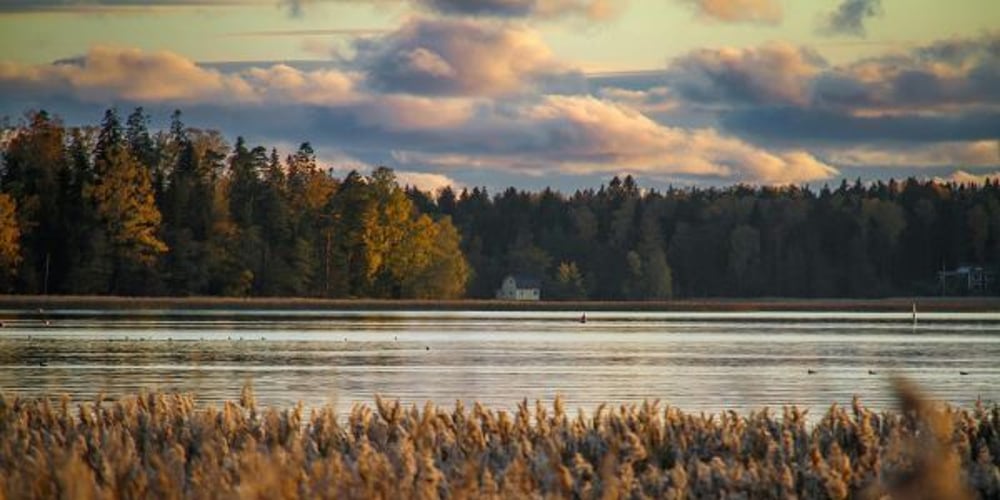 hi-everyone!-please-take-a-look-at-this-blog-post!-hope-you-will-fins-it-useful!!