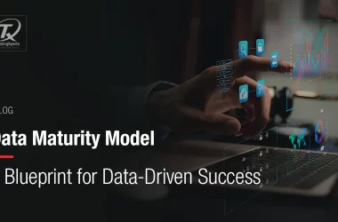 data-maturity-model:-a-blueprint-for-data-driven-success