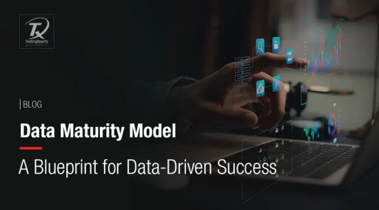 data-maturity-model:-a-blueprint-for-data-driven-success