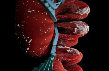 serverless-security-best-practices