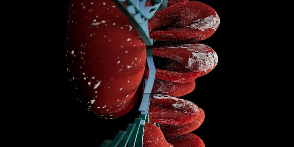 serverless-security-best-practices